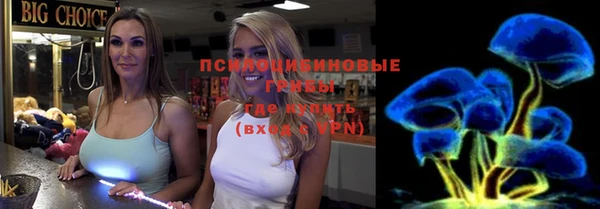 ГАЛЛЮЦИНОГЕННЫЕ ГРИБЫ Володарск