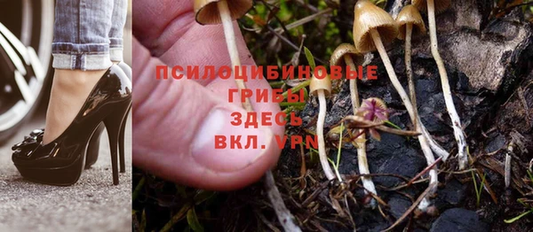 гашик Волоколамск