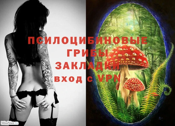 гашик Волоколамск